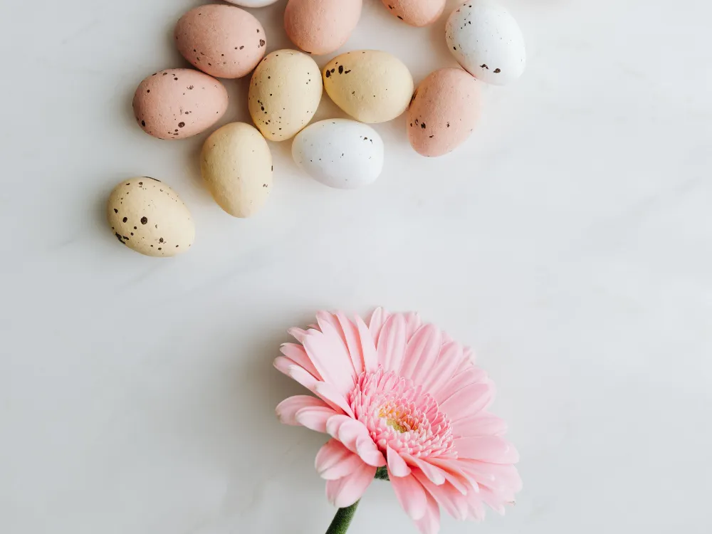 The Egg Donation Process